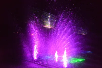 DSC_7076 (Large).JPG